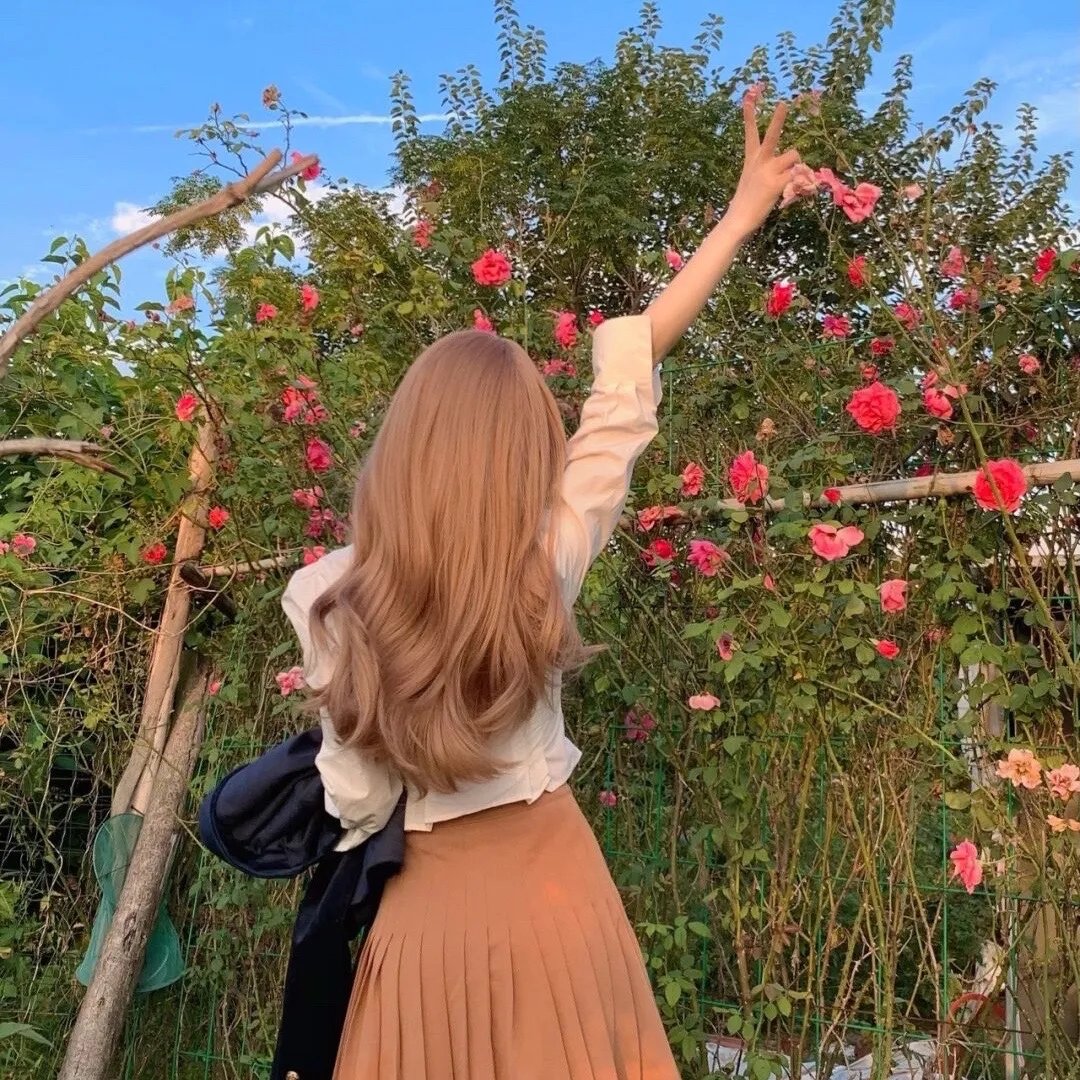 青梅如故恰似旧人来